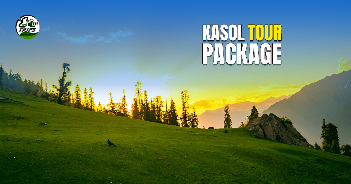 Kasol tosh package
